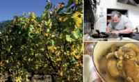 Atelier cuisine et découverte des vins du Jura. Publié le 10/11/11. Château-Chalon